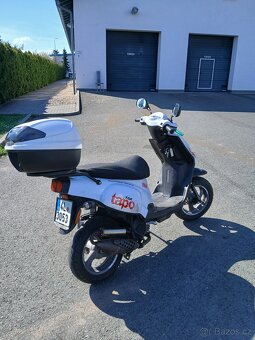 TBG Tapo 50 - 2
