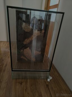 Terárium pro chameleona - s 3D pozadím - 2