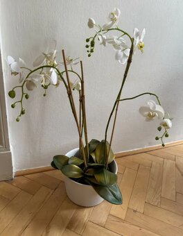 Umělá orchidej v květináči - 2