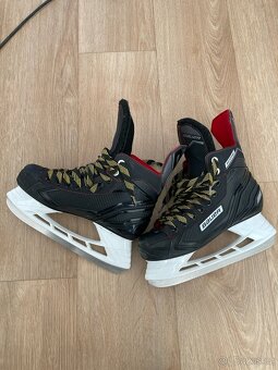 Brusle Bauer Score - 2