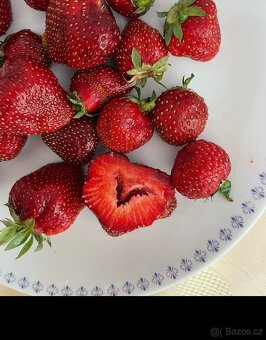 Sazenice jahod Darselect - 2