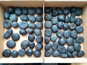 Tektity Vietnam Obří kolekce 7,85kg - 2