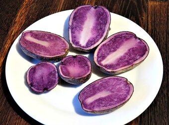 Fialové sadbové brambory - 2