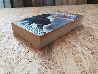 Společníci - R. A. Salvatore - 2
