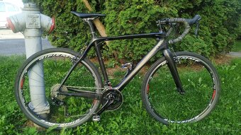 Stevens Carbon team - 2