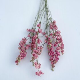 Sušené květiny - 2