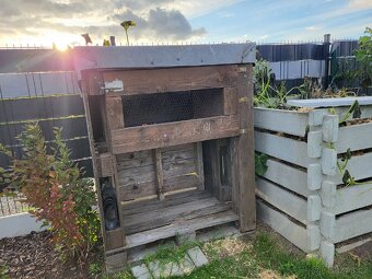 Králíkárna, domek pro morčata - 2