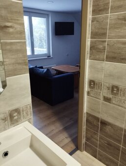 Krátkodobý pronájem - 2