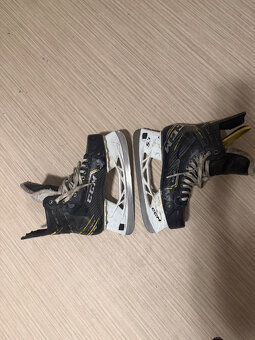 Brusle CCM Tacks AS 3 Pro - 2