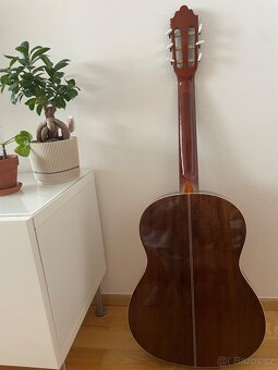 Klasická gitara Samick Greg Bennett C-3 - 2