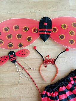 Karnevalový kostým BERUŠKA - 2