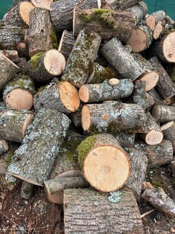 Palivové dřevo Štípaný javor DOPRAVA ZDARMA - 2