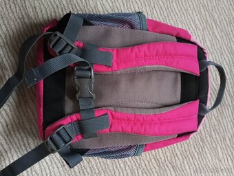 Batoh Deuter Pico - 2