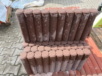 Palisáda hnědá - 2