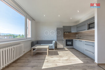 Prodej bytu 1+1, 36 m², Děčín, ul. U Tvrze - 2