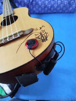 Ukulele - 2