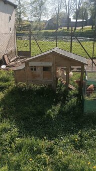 Kurnik s výběhem - 2