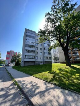 Pronájem bytu, u Kapličky, Orlová - 2