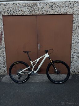 Stumpjumper EVO Pro T-Type - 2