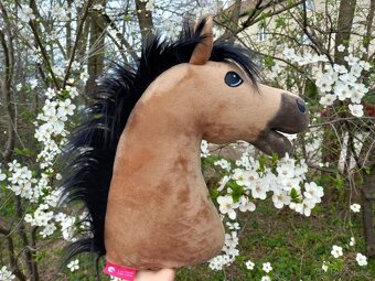 Hobby horse - 2