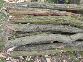 Akátové sloupky - kůly 130 - 170 cm - 2