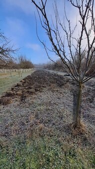 prodej stavebního pozemku - 2