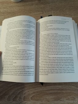 Náhradník - 2