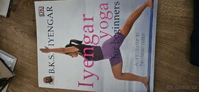Iyengar Yoga - 2