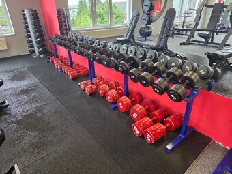 Ocelové jednoruční činky 11 - 60kg - 2