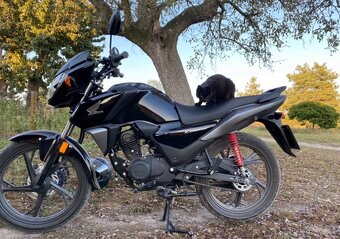 Honda cbf 125 - 2