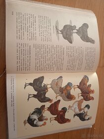 Domácí zvířata - 2