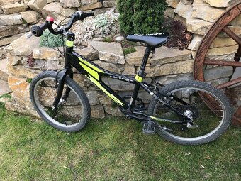 Kolo Leader Fox 20" Jumper - 2