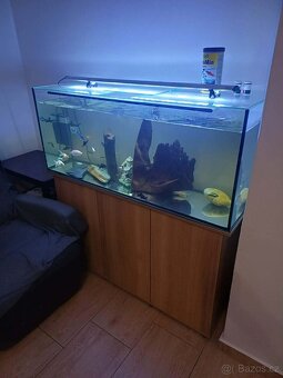 Prodám akvárium - 2