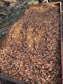 Drevni Stepka - Vrba,Javor - 2