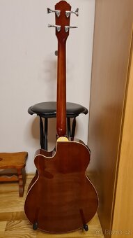 Washburn AB5 akustická baskytara - 2