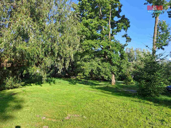 Prodej zahrady, 719 m², Město Albrechtice - 2