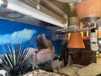 Terárium 90x40x40 - 2