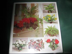 pokojové květiny od A do Z  - - 2