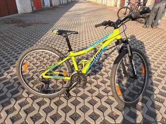 Prodám author matrix 26 - 2