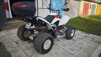 Čtyřkolka Access Warrior 450 - 2
