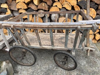 Starožitný žebřiňák - 2