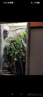 Prodám velké terárium - 2