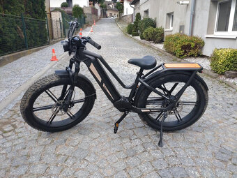 Elektrické kolo Fiido Titan Cargo 750W - 2