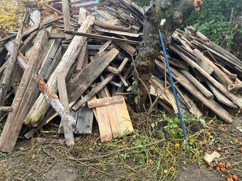 Dřevo za odvoz - 2