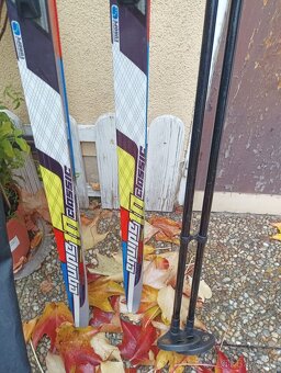 Běžky Salomon 200cm + Hole - 2