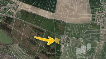 Prodej podílu 1/2 pole 4 183 m², Kněžičky - 2