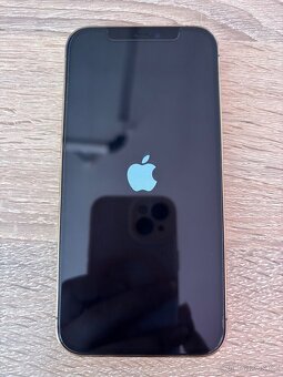 IPhone 12 Pro 256 GB - 2