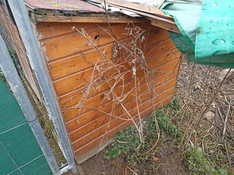 Bouda pro velkého psa - 2