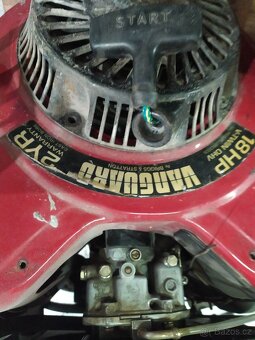 Briggs-Stratton - 2
