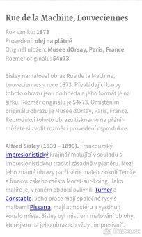 Reprodukce obrazu - 2